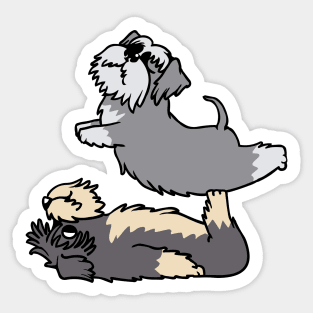 Acroyoga Schnauzer Sticker